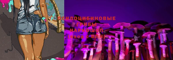 молекула духа Алзамай