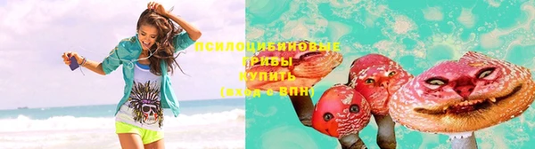 молекула духа Алексеевка