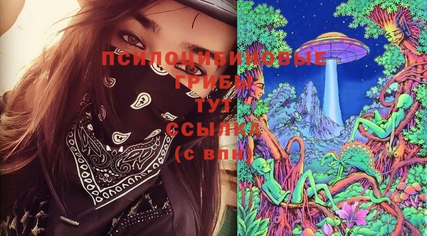 молекула духа Алексеевка