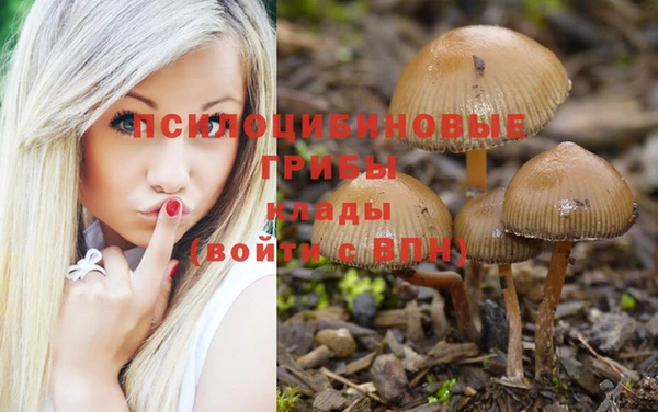 молекула духа Алексеевка