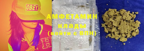 молекула духа Алексеевка