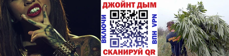 OMG вход  Куртамыш  Шишки марихуана сатива 